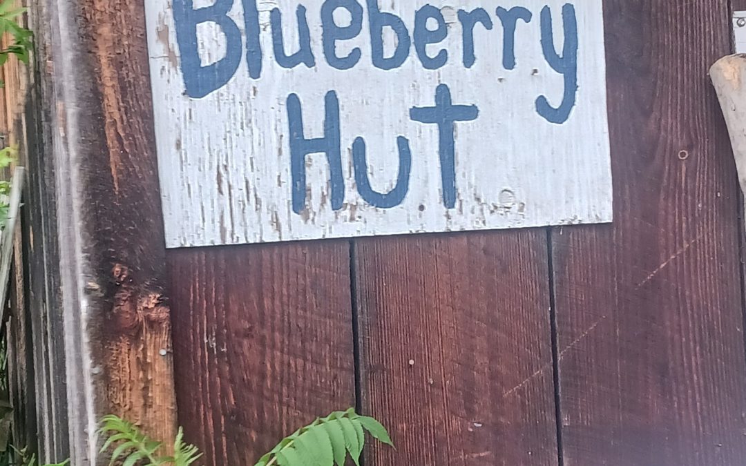 Blueberry Hut