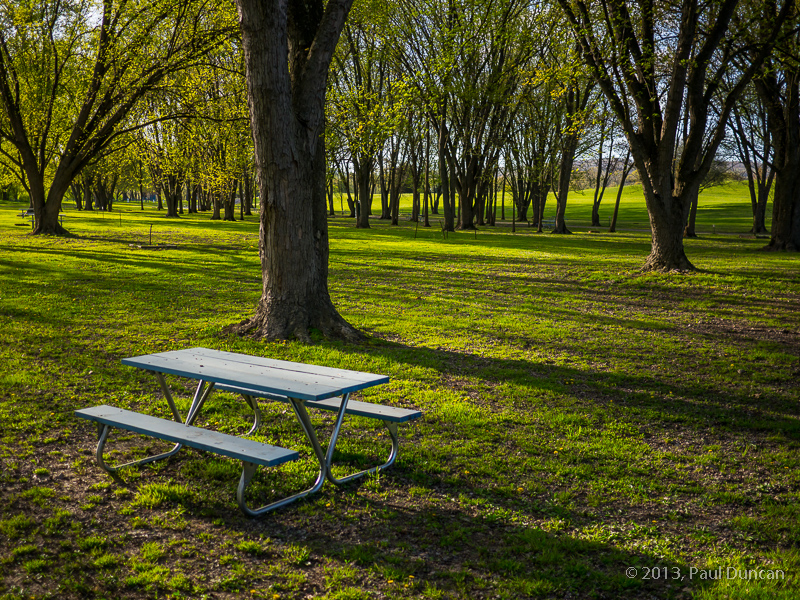 Picnic Table At Hickories Park