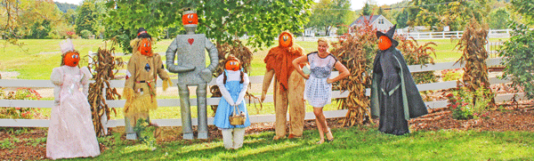 Iron-Kettle-Farm-Candor-Wizard-Of-Oz-Pumpkins-Tioga-County-NY-1