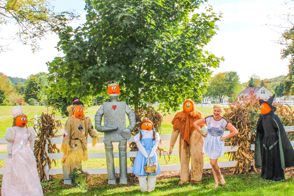Iron-Kettle-Farm-Candor-Wizard-Of-Oz-Pumpkins-Tioga-County-NY-3