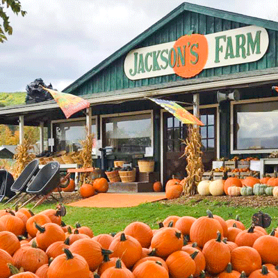 Jackson’s-Pumpkin-Farm-Store-Owego-Tioga-County-NY