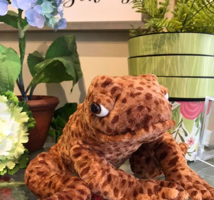 Katie’s-Kreations-Plush-Frog