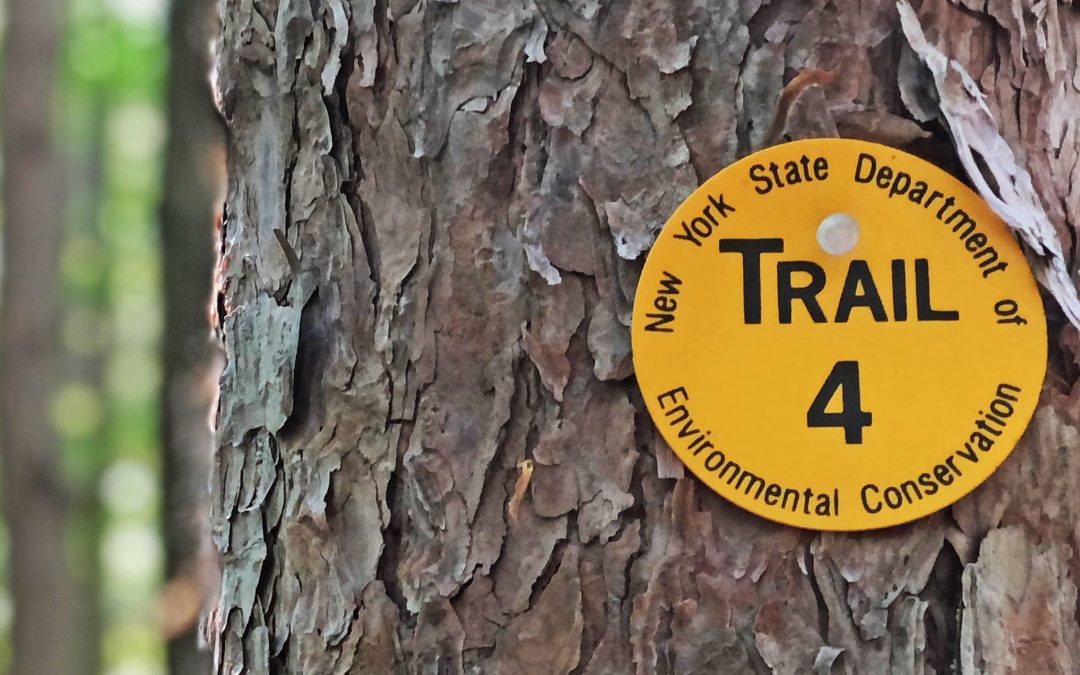 Oakley Corners Tioga County NY Trail Marker 2