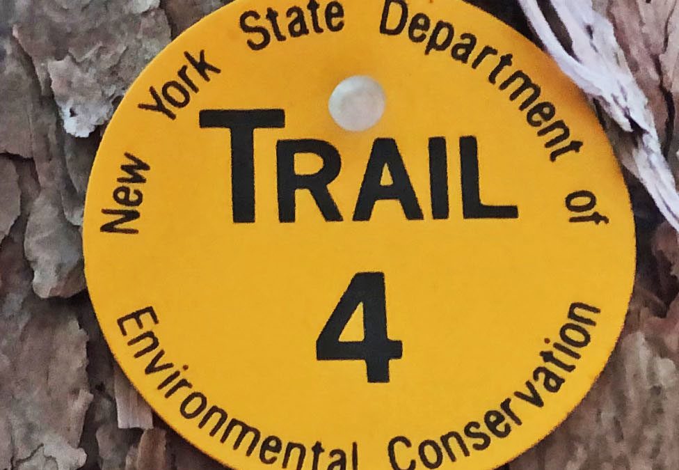 Oakley Corners Tioga County NY Trail Marker 3