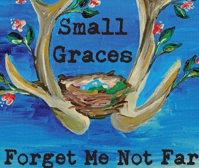 Small-Graces-at-Forget-Me-Not-Farm-Painted-Sign