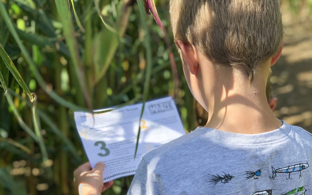 Stoughton Farm Newark Valley Tioga County Corn Maze Kid 2