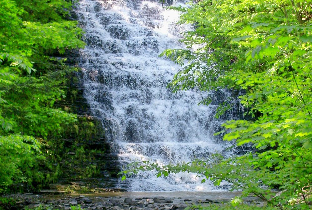 Waverly-Glen-Park-Tioga-County-Waterfall-Patrick-Ayres